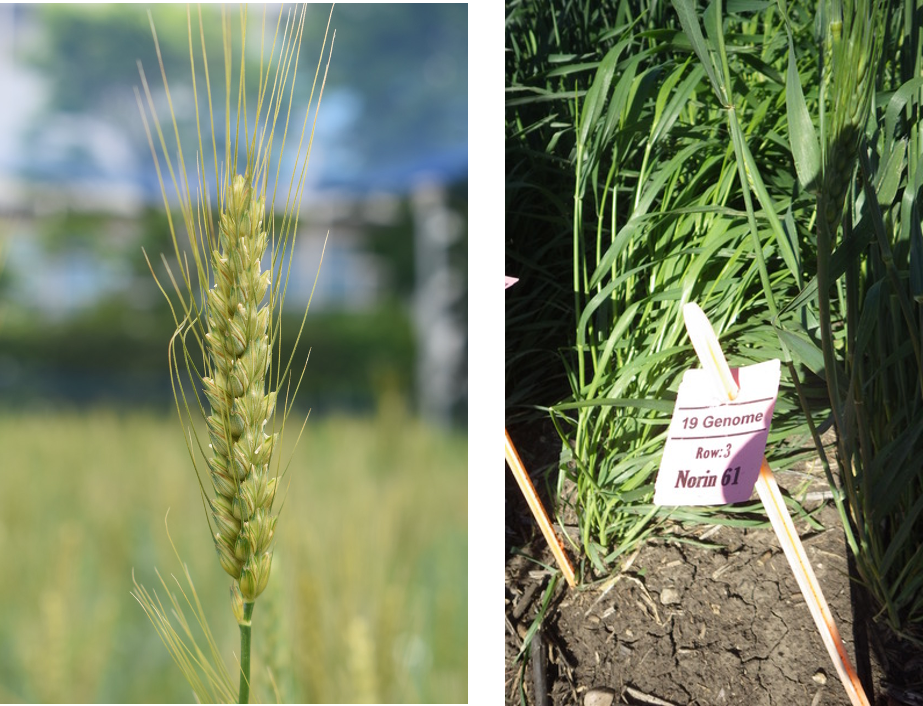 2b530e80c7d0de90885e285c5d798063 1