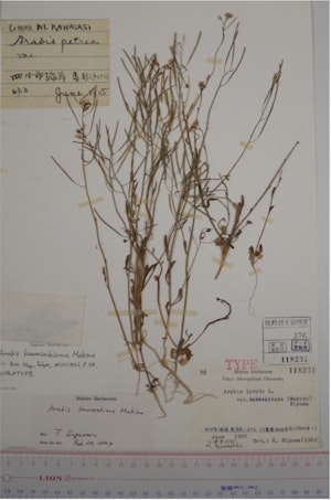 2b530e80c7d0de90885e285c5d798063 1017x1536 1