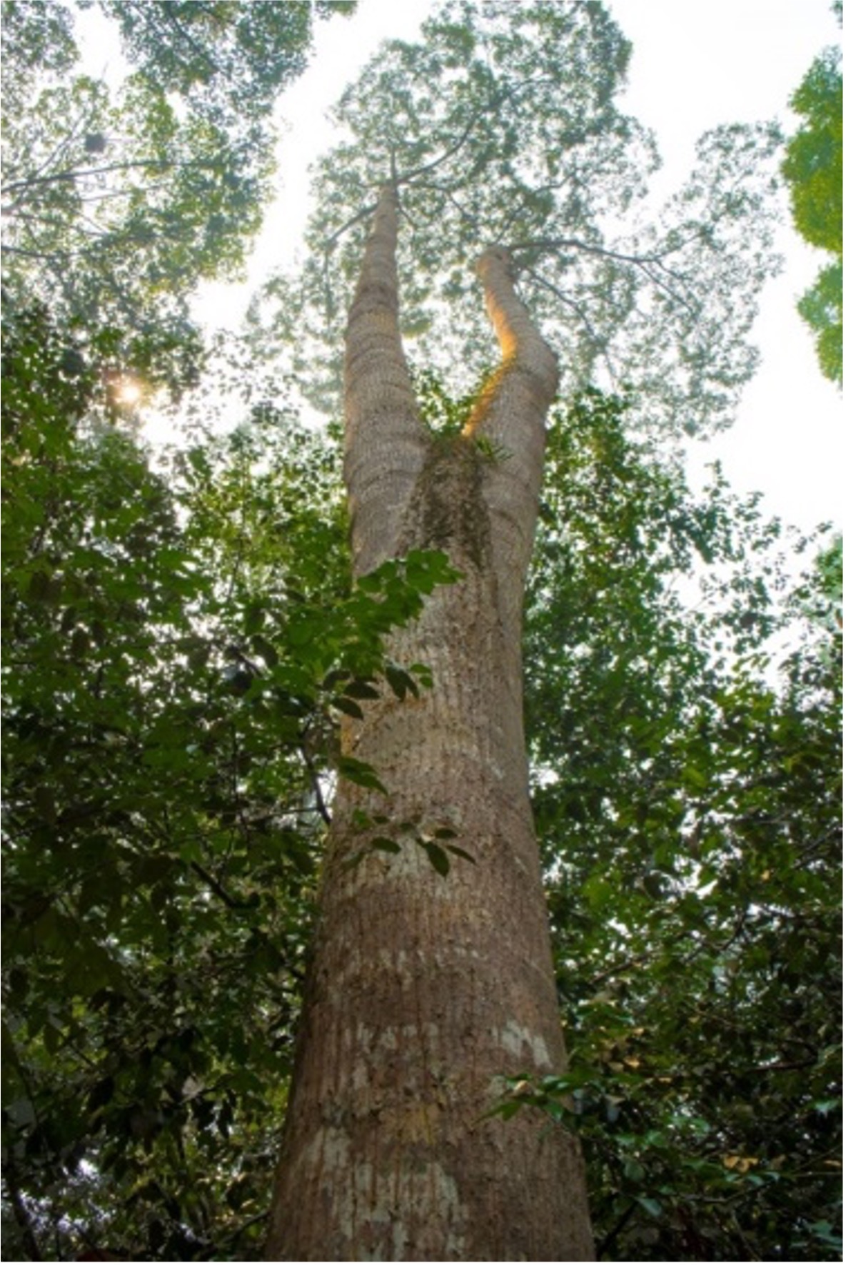 2b530e80c7d0de90885e285c5d798063