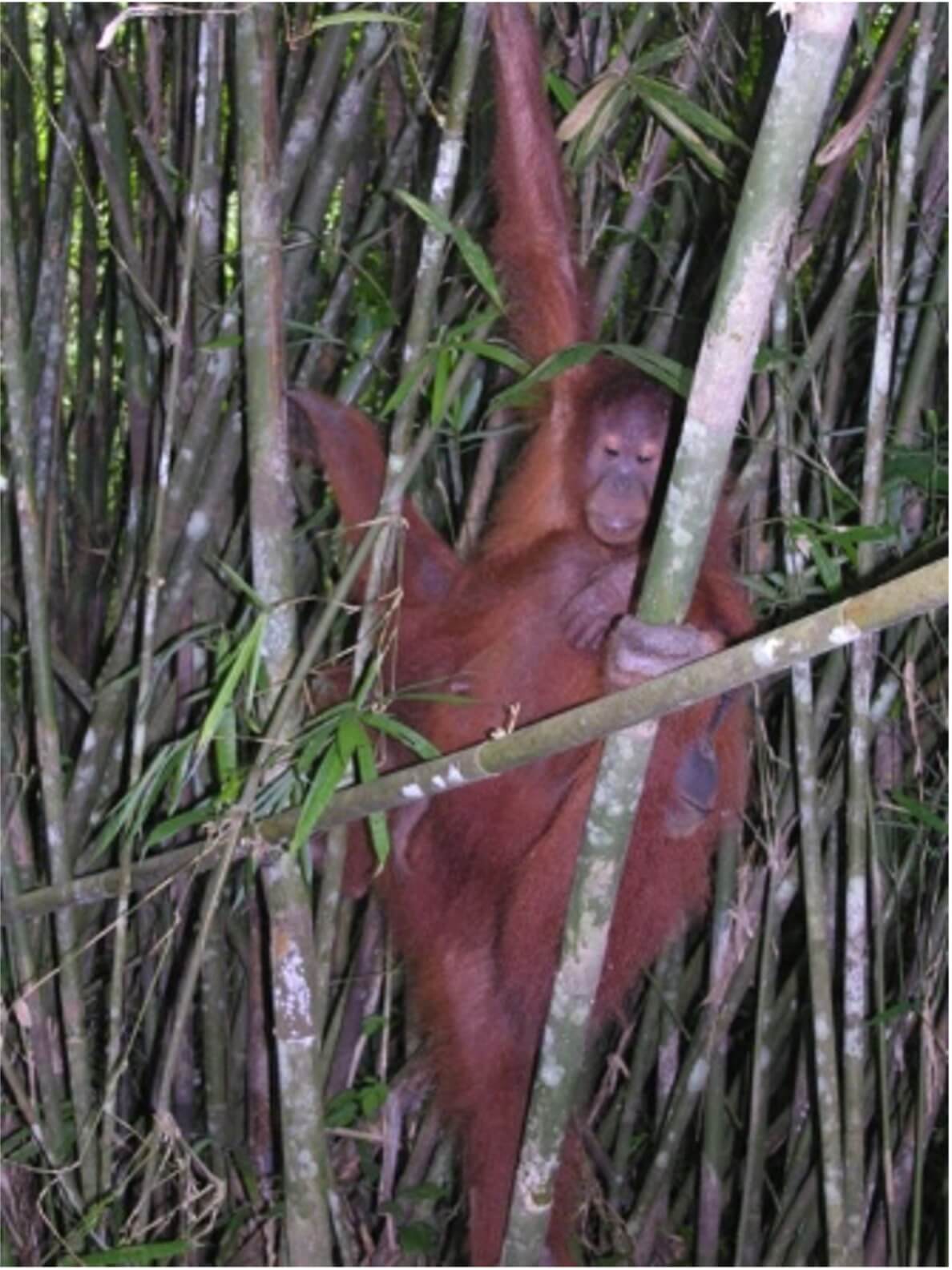 3a4f695a458cb0ac0aceaa2eb13ac2dd