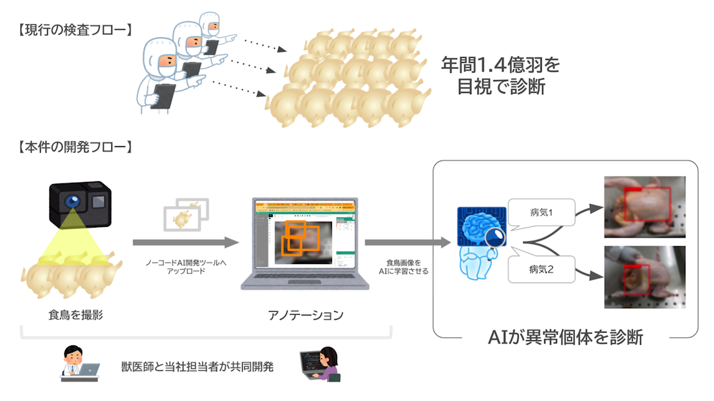 ノーコードAI開発ツールを用いた食鳥疾病診断AIの開発概要