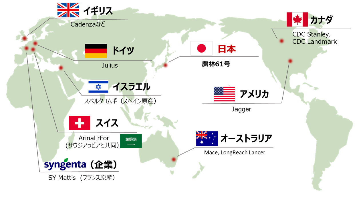 795316b92fc766b0181f6fef074f03fa 1