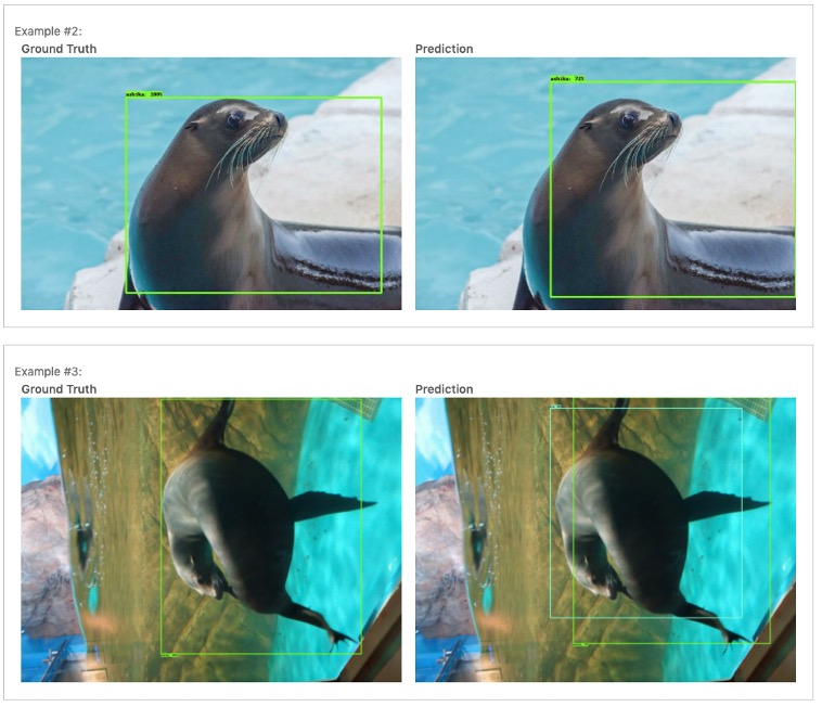 生徒さんが学習させた画像(左)と作成したAIモデルによる学習結果(右)