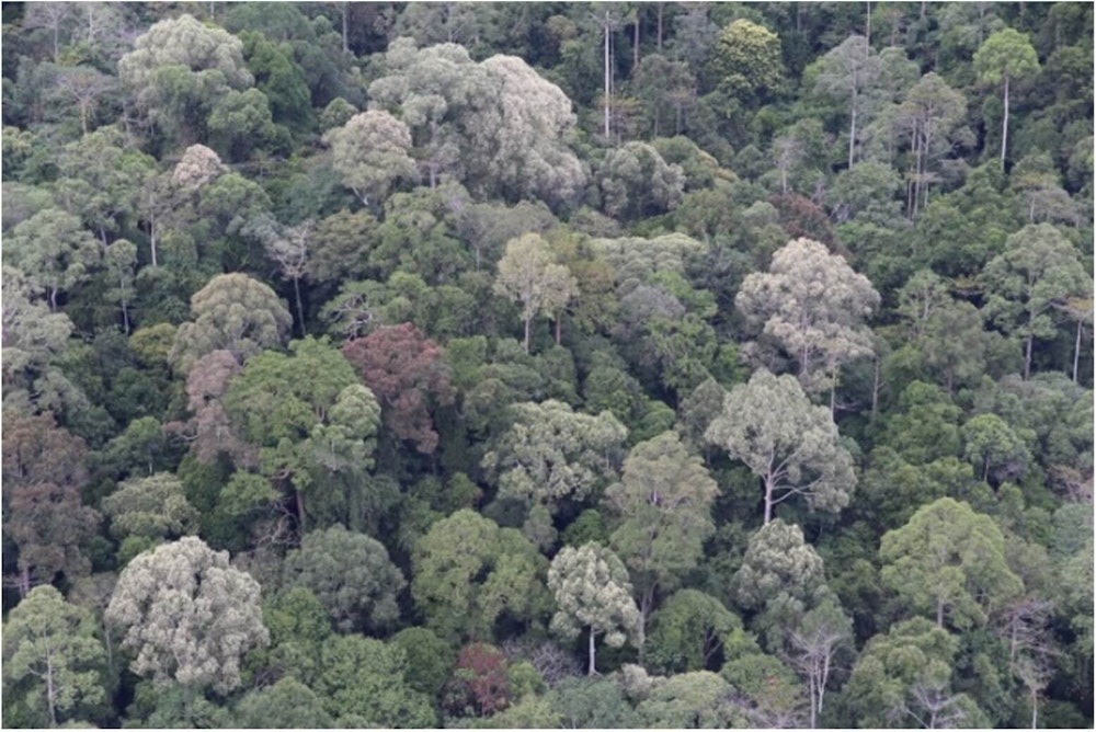 795316b92fc766b0181f6fef074f03fa