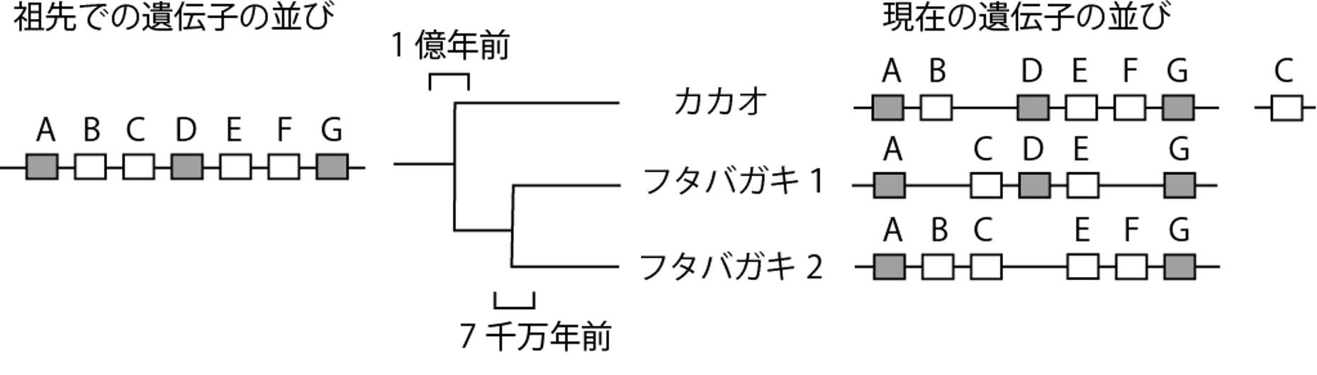 c8856789ec11ab8b1013037cef6929f9 2