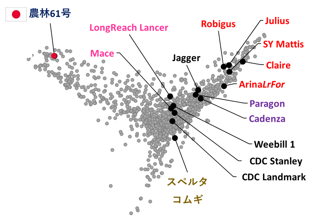 c8856789ec11ab8b1013037cef6929f9 3