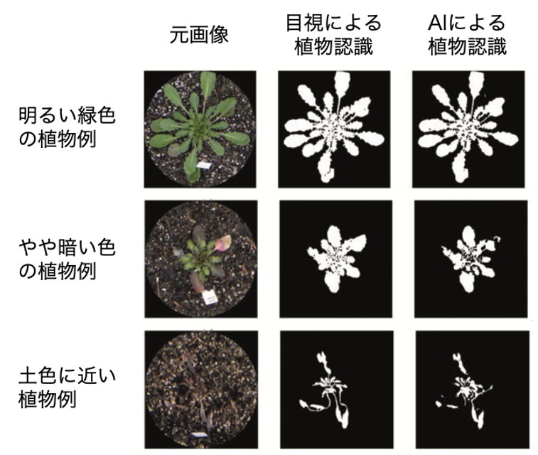 c8856789ec11ab8b1013037cef6929f9